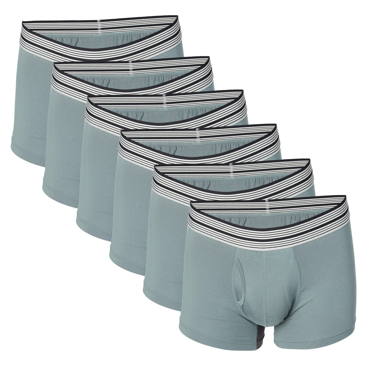 6-Pack Trunks Cut Bamboo Viscose Boxer Brief - Mr. Davis Underwear